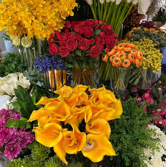 Meet your Posher, Scott - Picture 1 of 1